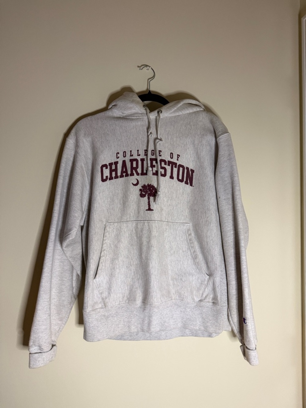College of Charleston Champion Hoodie